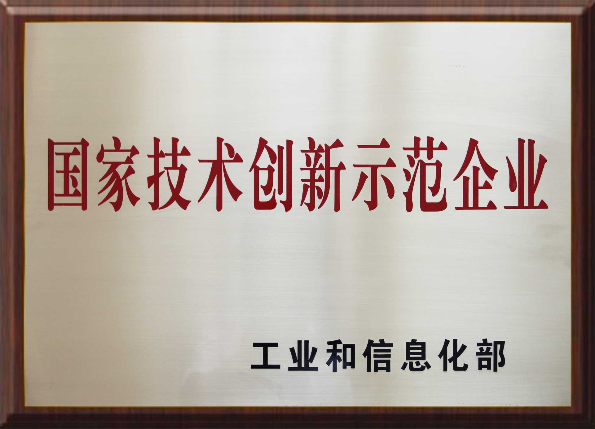 国家技术创新示范企业