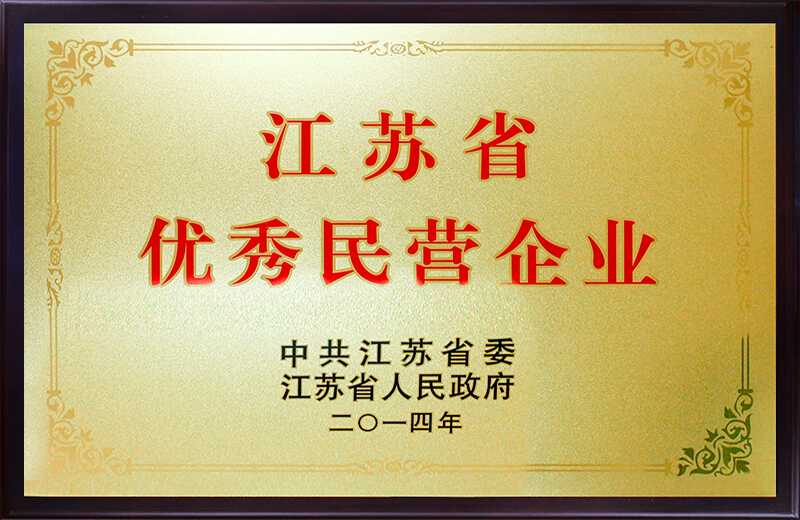 江苏省优秀民营企业